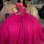 Fuchsia Sweet 16 Quinceanera Dresses Glittery Tulle 3D Flowers Party Dresses